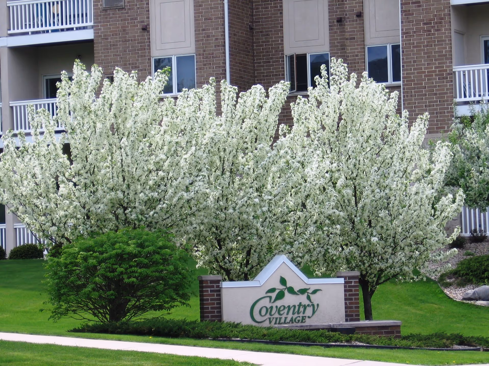 Exterior view of Coventry Village facility with a sign in front surrounded by green grass, blooming white flowering trees, and a brick building with balconies in the background.