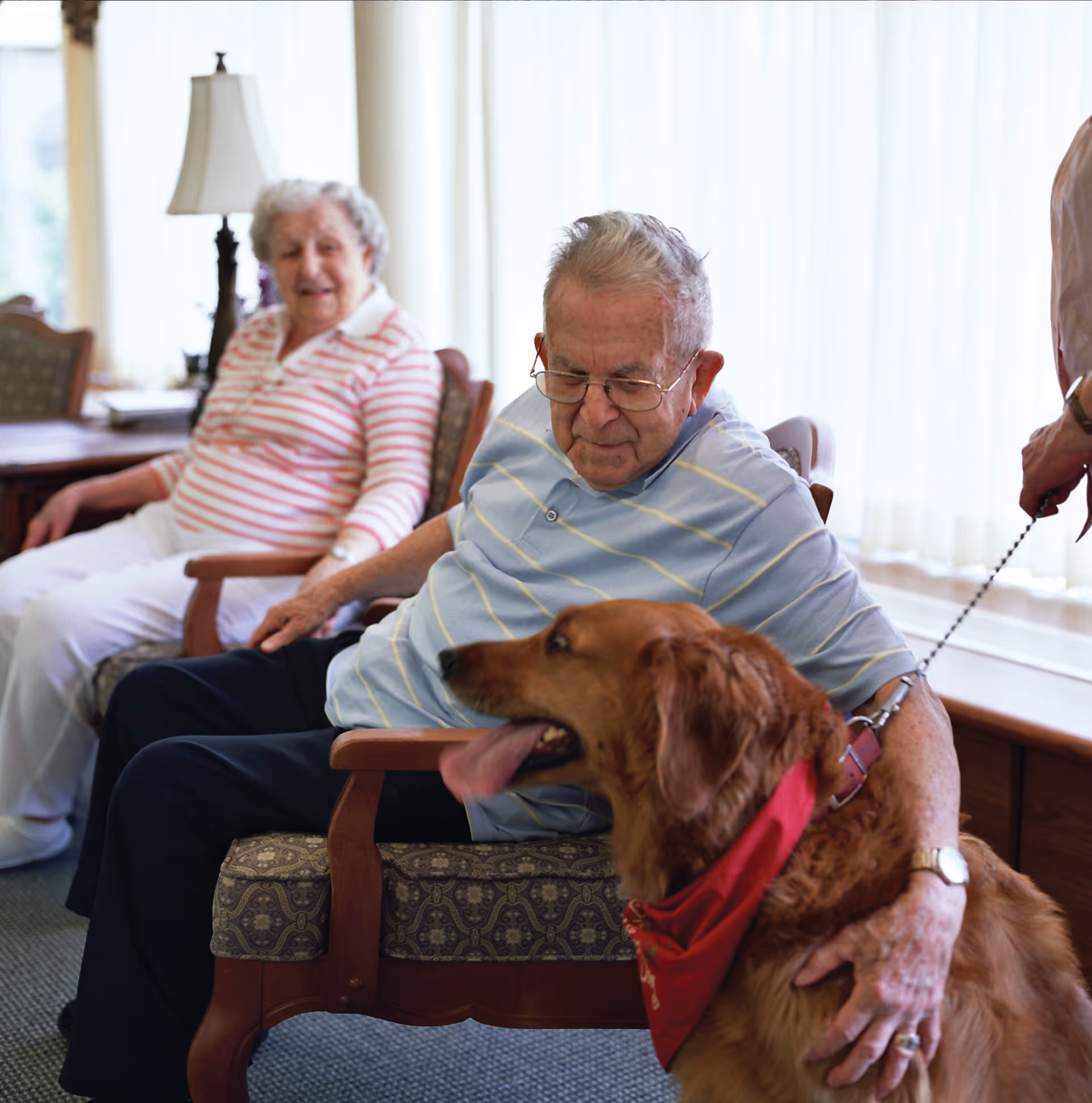 An elderly man sitting in a patterned armchair petting a large golden retriever wearing a red bandana, with an elderly woman sitting in the background on another chair in a well-lit room with large windows and curtains.