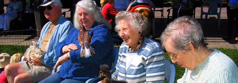 A group of elderly people sitting outdoors on chairs, smiling and interacting with birds perched on their hands and laps in a sunny garden or patio area.