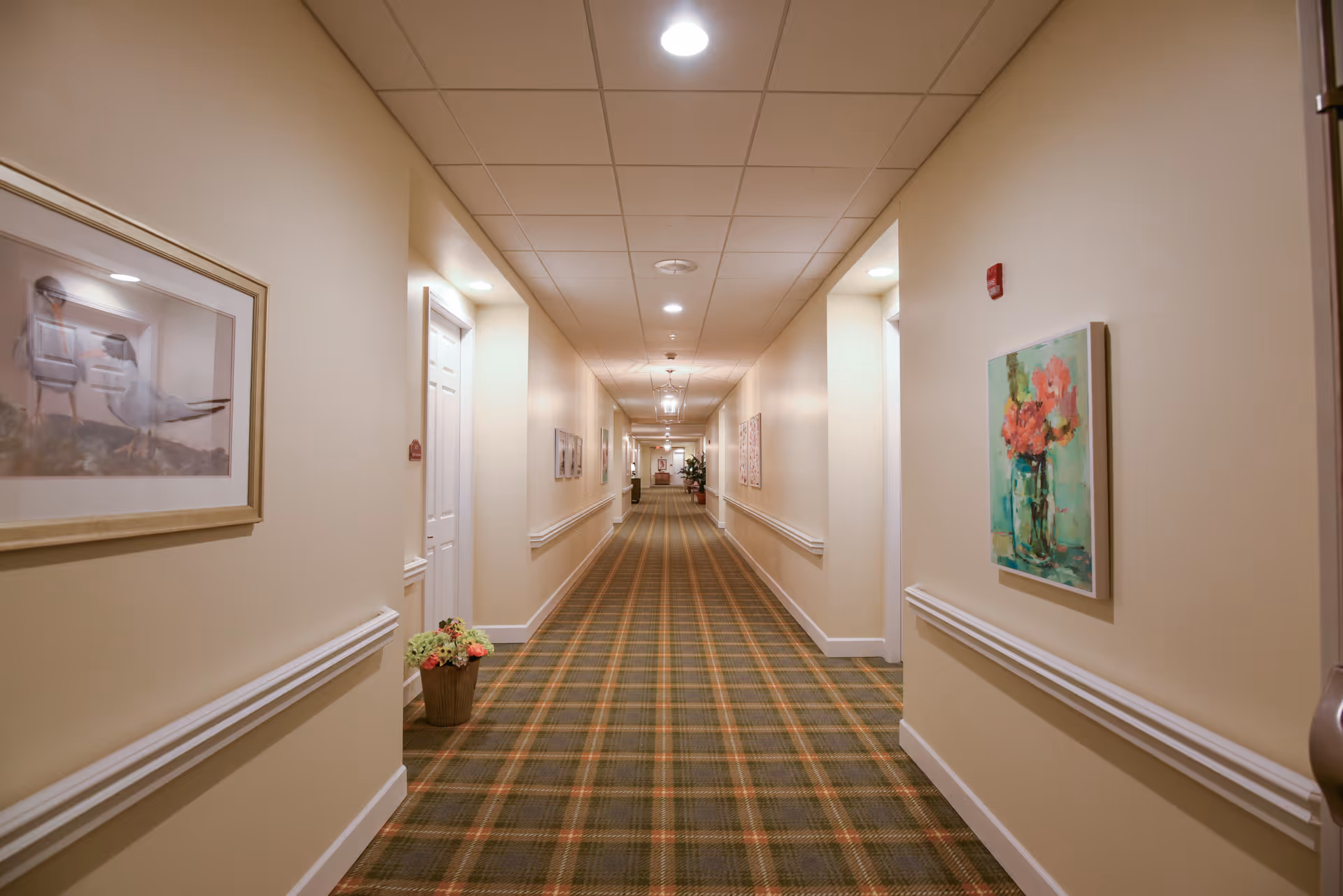 Long indoor hallway with beige walls and a patterned carpet floor. The hallway is lined with white doors on both sides, decorated with framed artwork and a small potted plant near one door. Ceiling lights illuminate the corridor evenly.