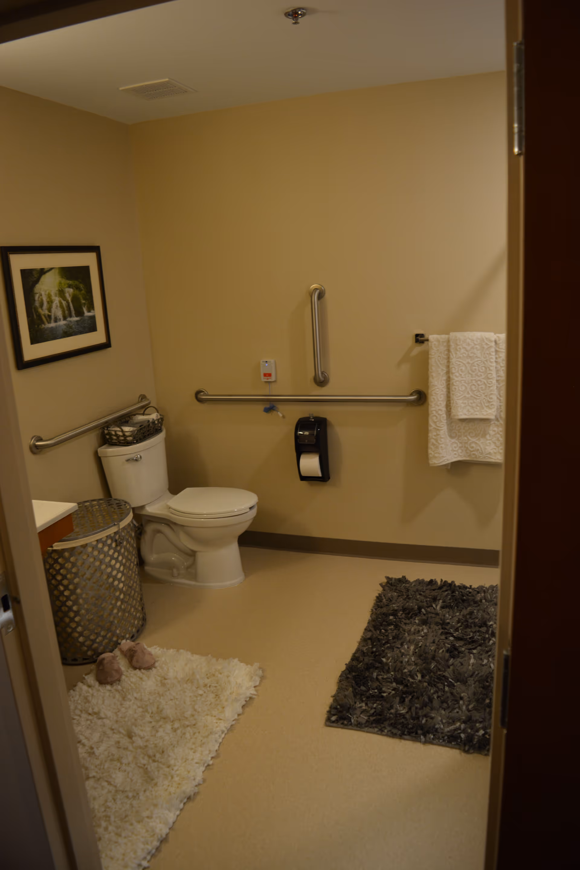 Accessible bathroom featuring a toilet with grab bars, towel rack, waste bin and two bath rugs.