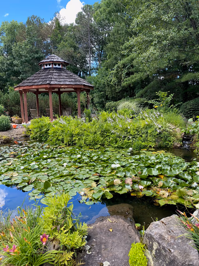 A serene outdoor garden scene featuring a wooden gazebo with a shingled roof and heart-shaped cutouts near the top. The gazebo is surrounded by lush greenery, flowering plants, and a pond filled with lily pads. Trees and a partly cloudy blue sky are visible in the background.