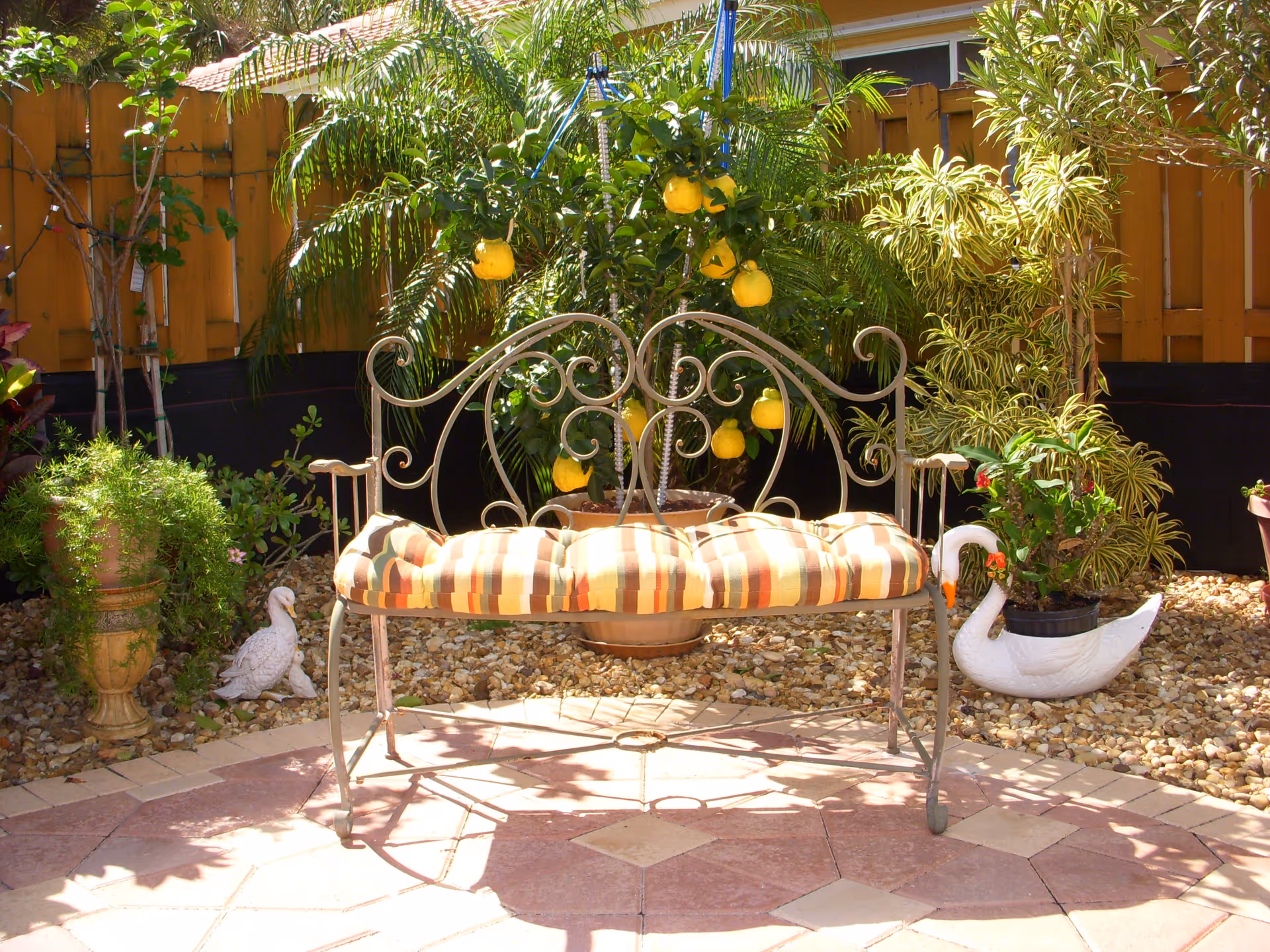 Outdoor garden area with a decorative metal bench featuring a striped cushion. The bench is surrounded by various potted plants, including a lemon tree with yellow lemons, and decorative swan-shaped planters. The ground is covered with small stones and tiled flooring, and a wooden fence is visible in the background.