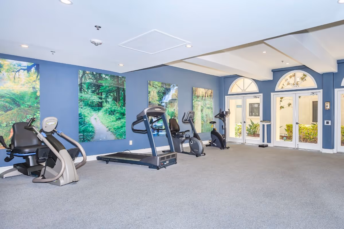 A fitness room with exercise equipment including a recumbent bike, treadmill, and stationary bikes. The walls are painted blue and decorated with large nature-themed pictures of forest paths and waterfalls. There are large windows and glass doors letting in natural light and showing greenery outside.