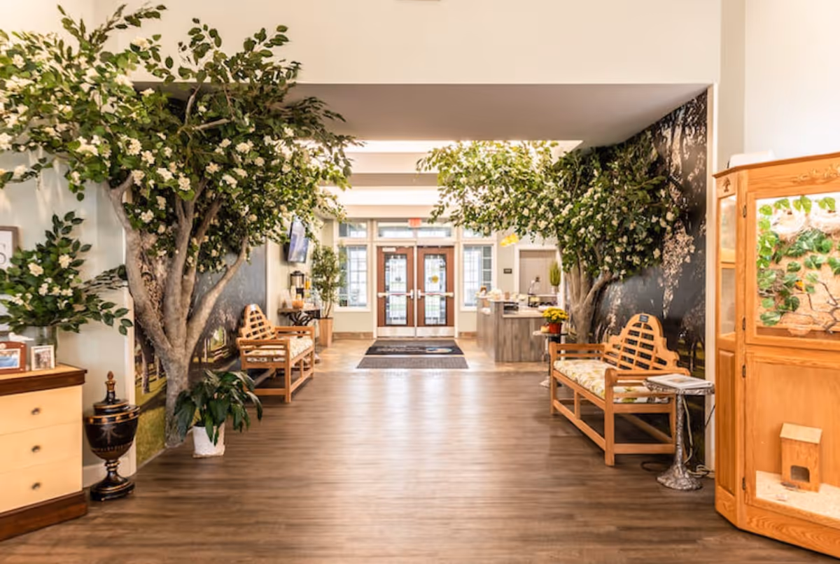 A bright and welcoming hallway in a senior living facility featuring wooden benches with cushions, large artificial trees with green leaves and white flowers, a wooden cabinet with a small indoor garden, and a reception desk in the background near glass double doors.