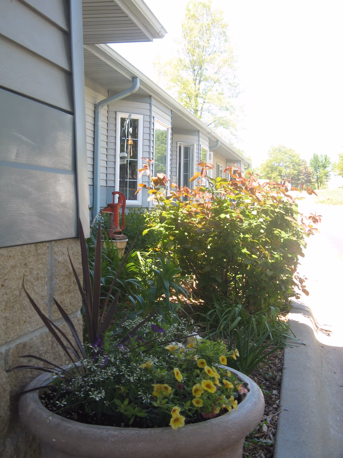 Exterior side of a single-story building with windows, a large flower planter and shrubs along a paved walkway.