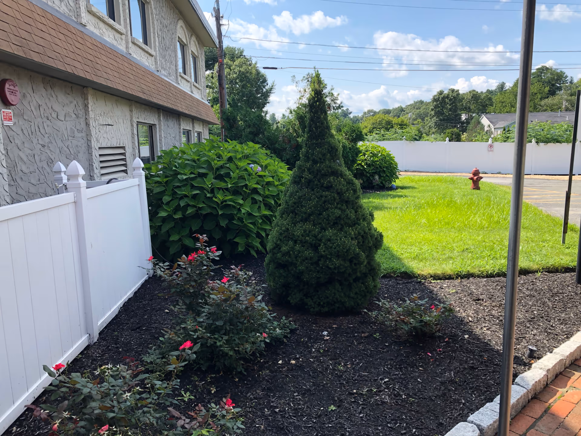 Exterior landscaped side yard of a senior care facility with a white fence, shrubs and a conical evergreen beside the building and a grassy lawn with a fire hydrant.