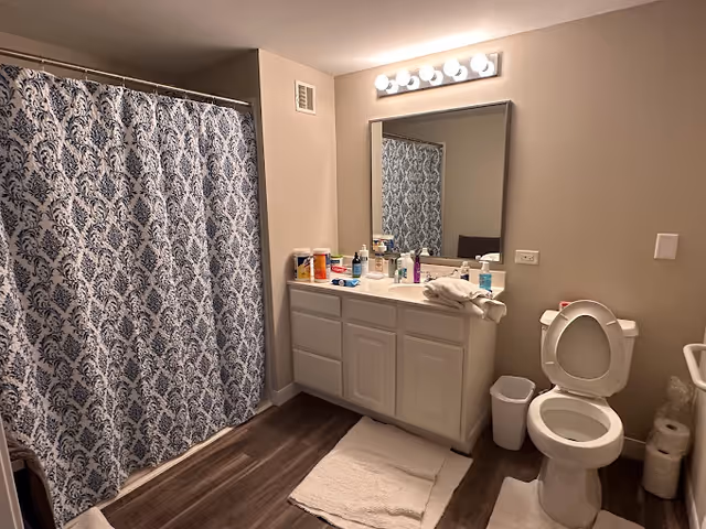 A bathroom with a white vanity and mirror, lit vanity lights, a toilet, and a shower with a blue patterned curtain.