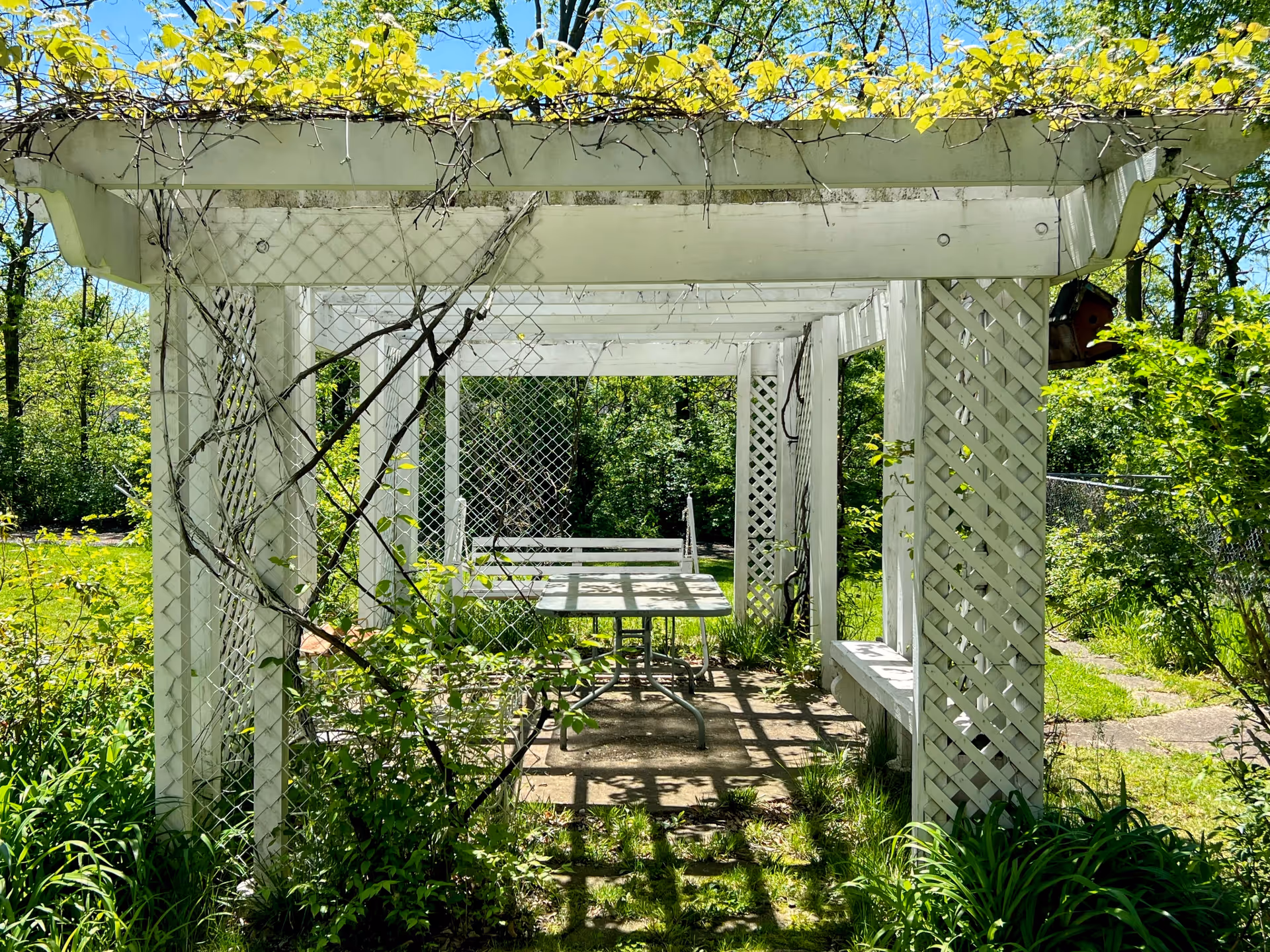 White wooden pergola with lattice sides covering a picnic table and bench in a sunny green garden.