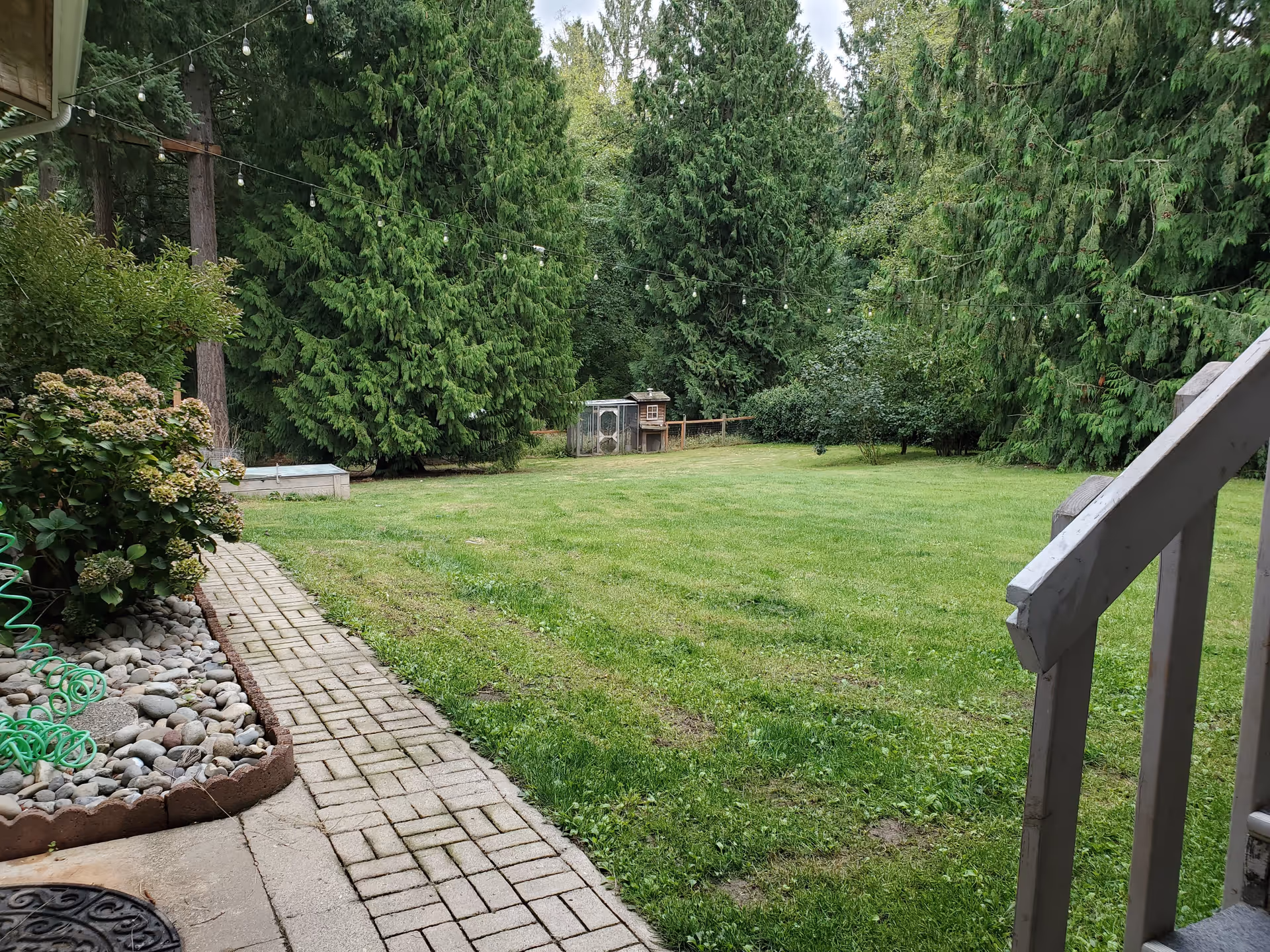 A backyard garden area with a green lawn surrounded by tall evergreen trees. There is a paved walkway on the left side bordered by rocks and plants. String lights are hung across the yard. A small wooden animal hutch or coop is visible in the distance. Part of a wooden staircase railing is visible on the right side.
