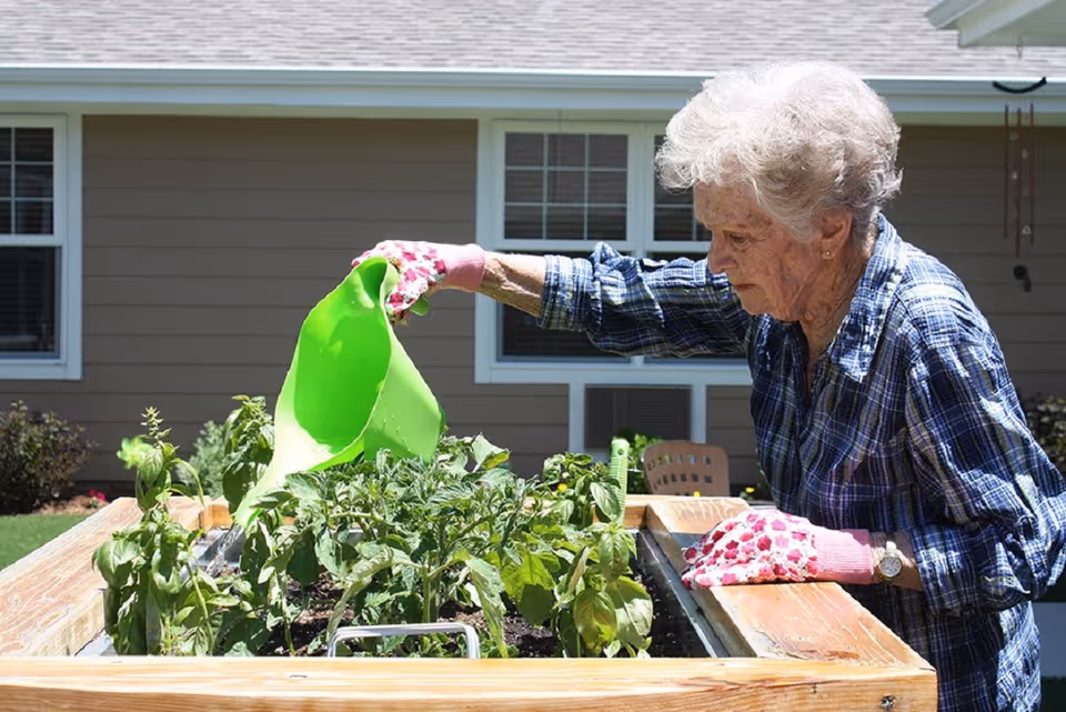An elderly woman wearing a blue plaid shirt and pink gardening gloves waters plants in a raised garden bed outside a residential building.