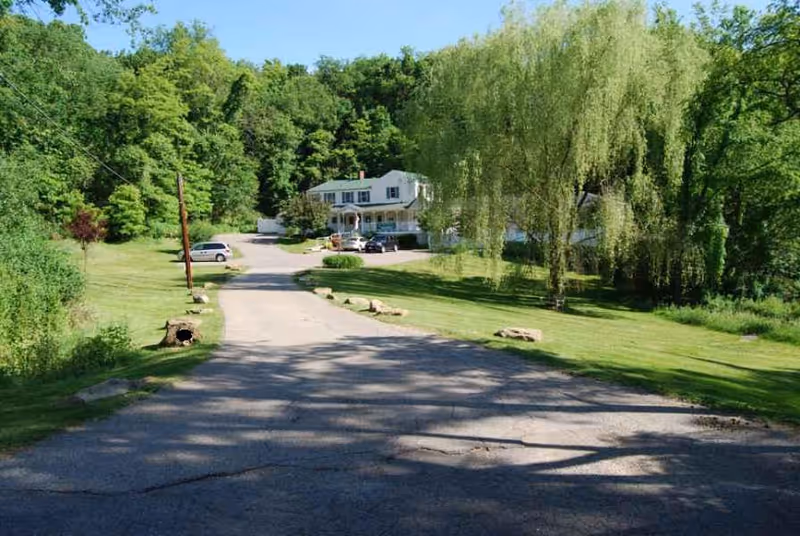 A paved driveway leading to a white two-story house surrounded by lush green trees and grass. Several cars are parked near the house, and a large weeping willow tree is visible on the right side of the driveway.