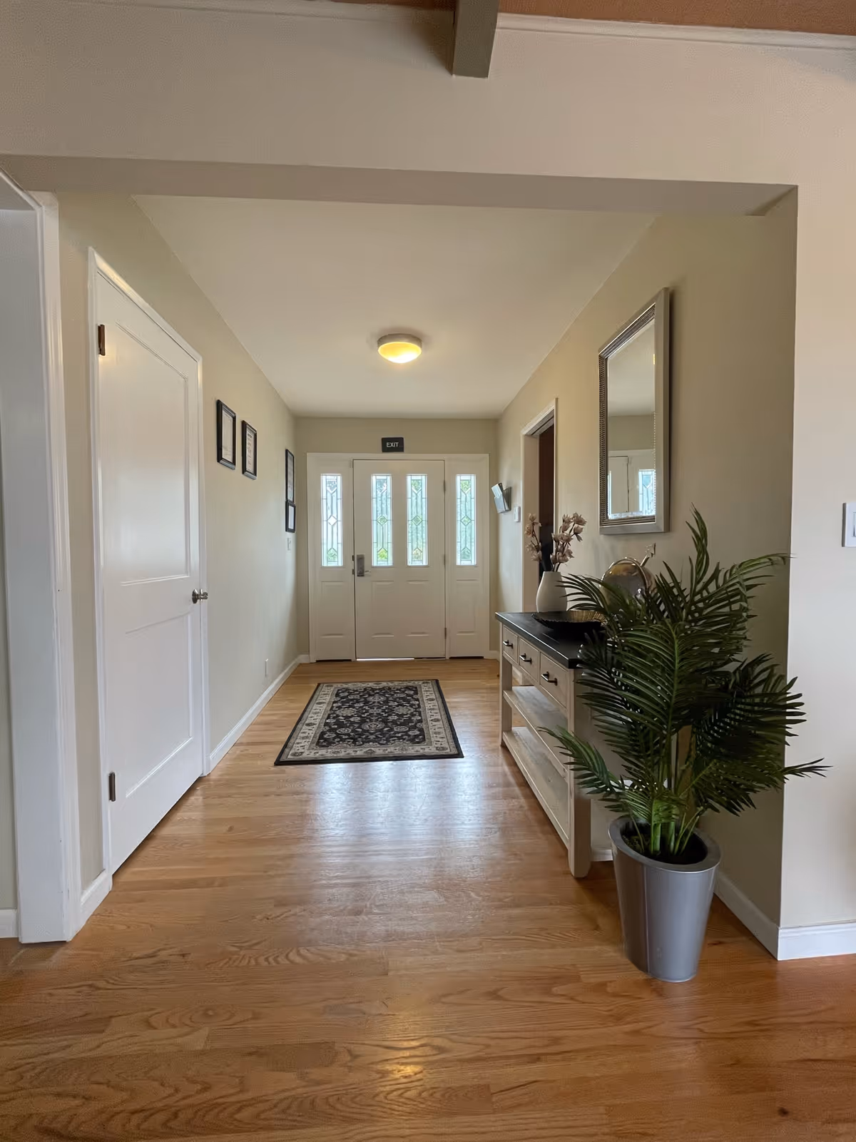 Well-lit entry hallway with a front door, console table, mirror, potted plant, and a rug on hardwood floors.