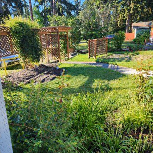 Sunny landscaped garden with wooden trellises, a winding grassy path, and surrounding plants and trees.