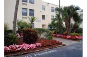 Exterior view of a multi-story senior living facility named Magnolia Gardens, surrounded by landscaped gardens with palm trees, bushes, and pink flowers. A driveway with 'NO PARKING' painted on the asphalt is visible in the foreground.