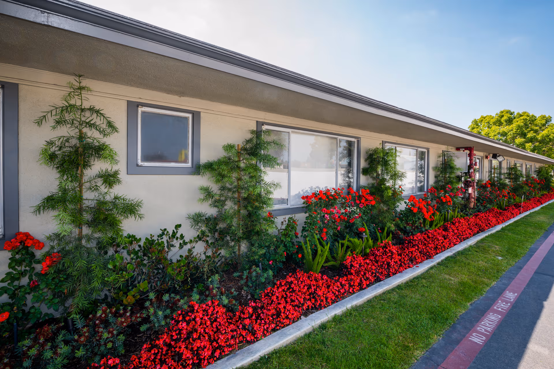 Exterior view of a single-story building with multiple windows, bordered by a well-maintained garden featuring red flowers and green shrubs along a sidewalk with a 'No Parking Fire Lane' marking.