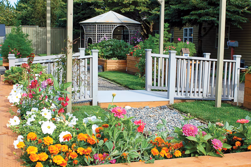 A vibrant outdoor garden area with colorful flowers including marigolds and petunias, raised wooden flower beds, a small white wooden bridge over a gravel path, and a gazebo with lattice walls in the background surrounded by trees and greenery.