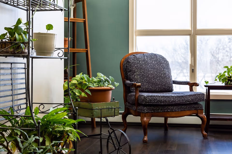 A cozy interior corner with a cushioned wooden armchair next to a window. Several green potted plants are arranged on a metal plant stand and a small wooden table, creating a fresh and inviting atmosphere.