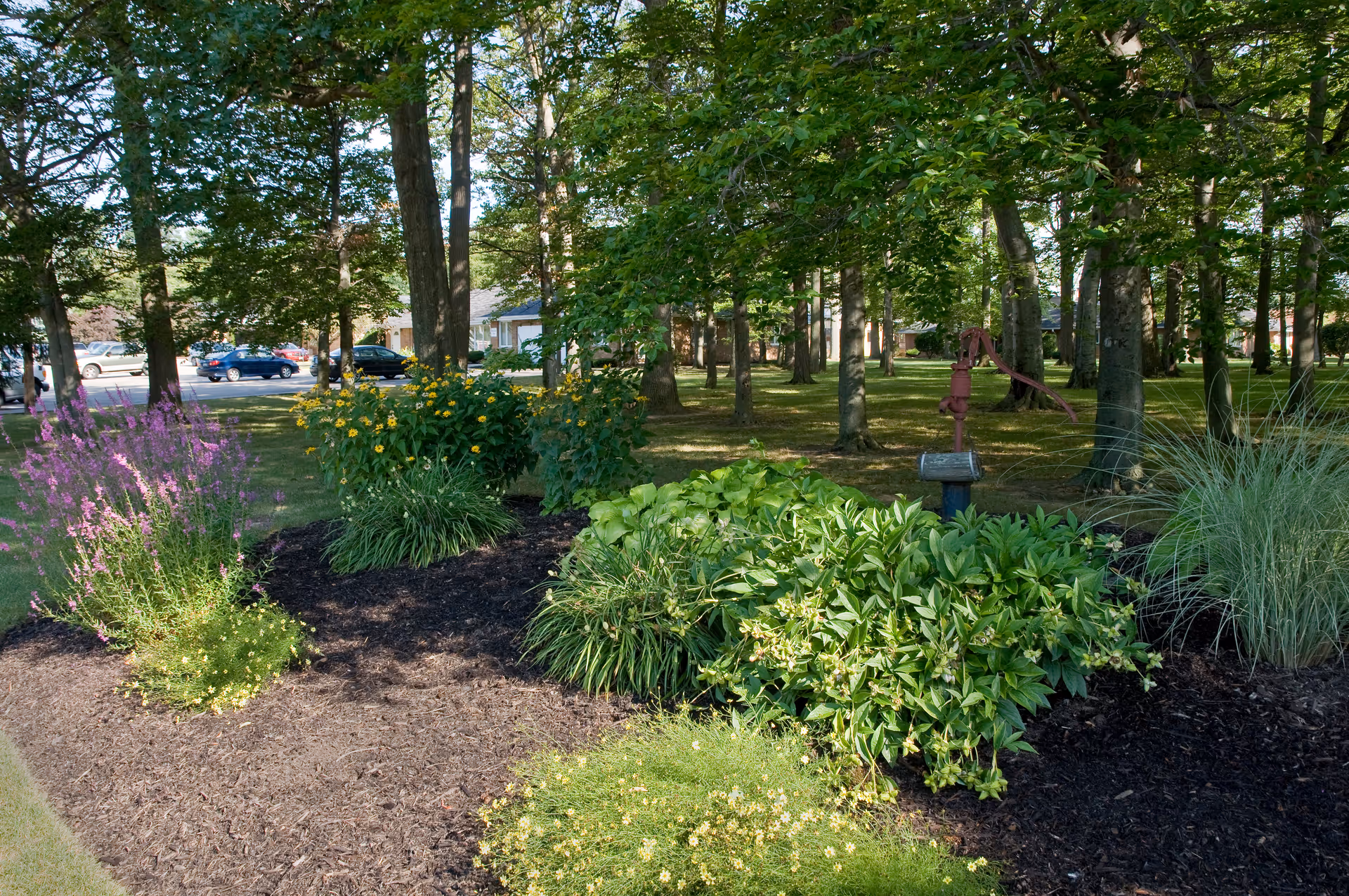 Mulched landscaped garden bed with flowering plants, shrubs and trees in a wooded outdoor area near parked cars.