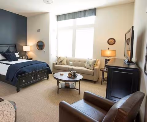 Sunlit studio-style bedroom with a bed, sofa, armchair, coffee table, and a TV cabinet.