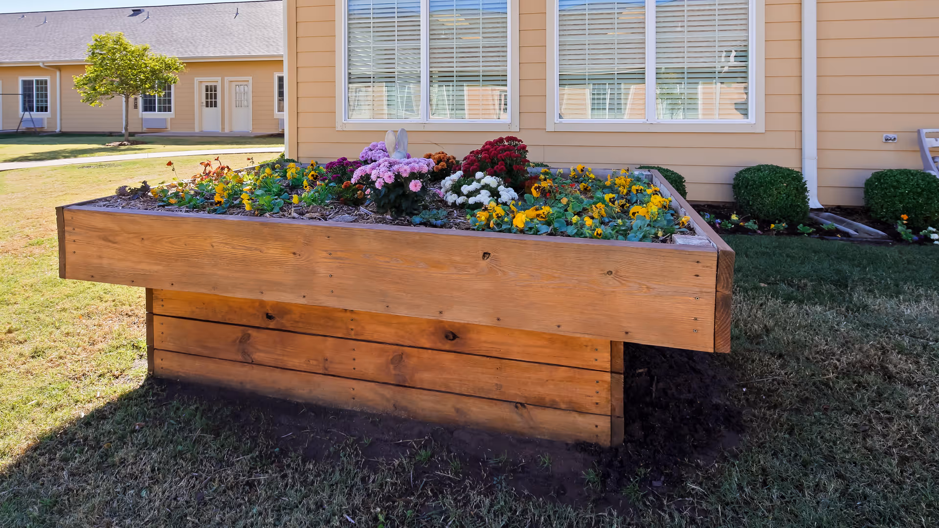 A raised wooden garden bed filled with colorful flowers including yellow, white, pink, and red blooms, situated outdoors on a grassy lawn in front of a beige building with white-framed windows and a door.