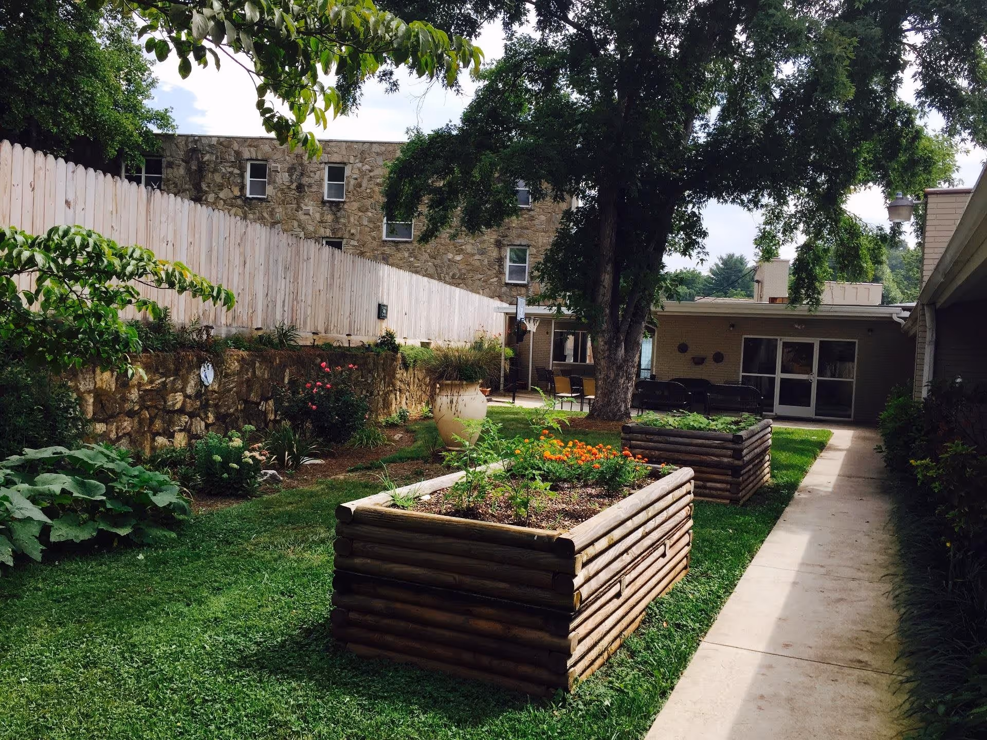 Courtyard garden with raised wooden planter boxes, a large tree, lawn and surrounding single-story buildings.