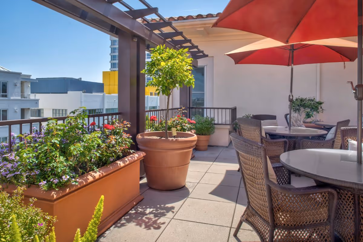 Rooftop terrace with potted plants, wicker patio tables and red umbrellas overlooking nearby buildings.