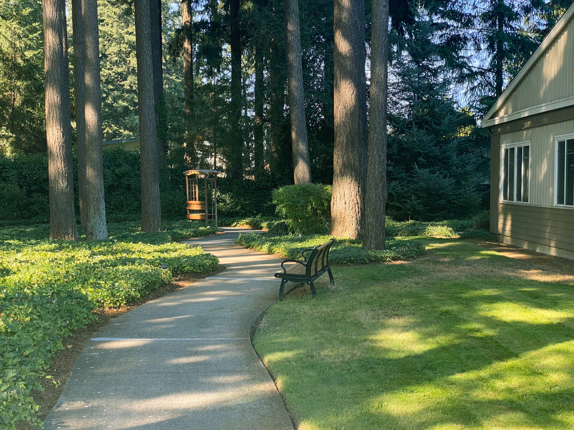 A winding concrete pathway through a garden area with tall trees, green bushes, and a grassy lawn. There is a wooden bench along the path and a building with multiple windows on the right side. Sunlight filters through the trees creating dappled shadows on the ground.