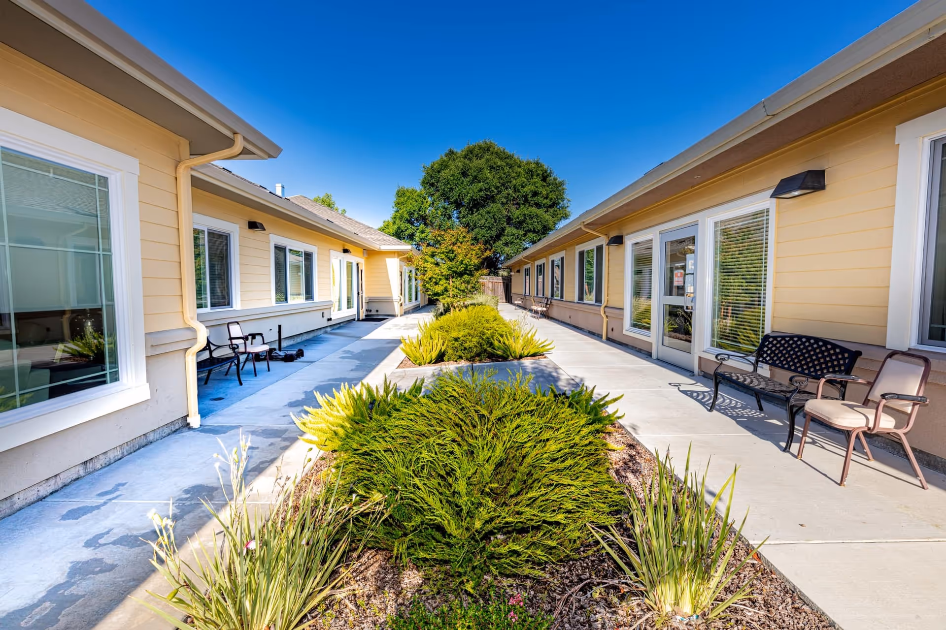 Outdoor courtyard area between two single-story buildings with yellow siding and white trim. The courtyard features a concrete walkway, green shrubs and plants in the center, and several chairs and benches along the sides of the buildings. A large tree is visible in the background under a clear blue sky.