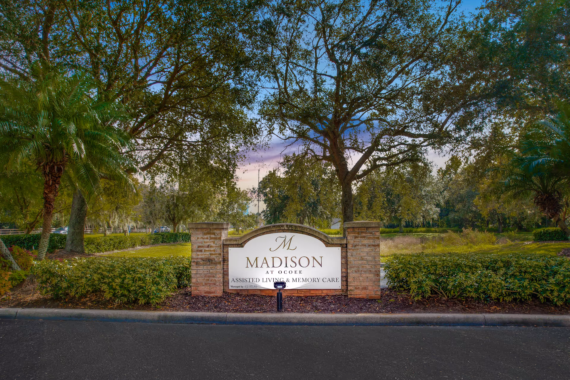 Entrance sign for Madison at Ocoee assisted living and memory care set among landscaped trees and shrubs.
