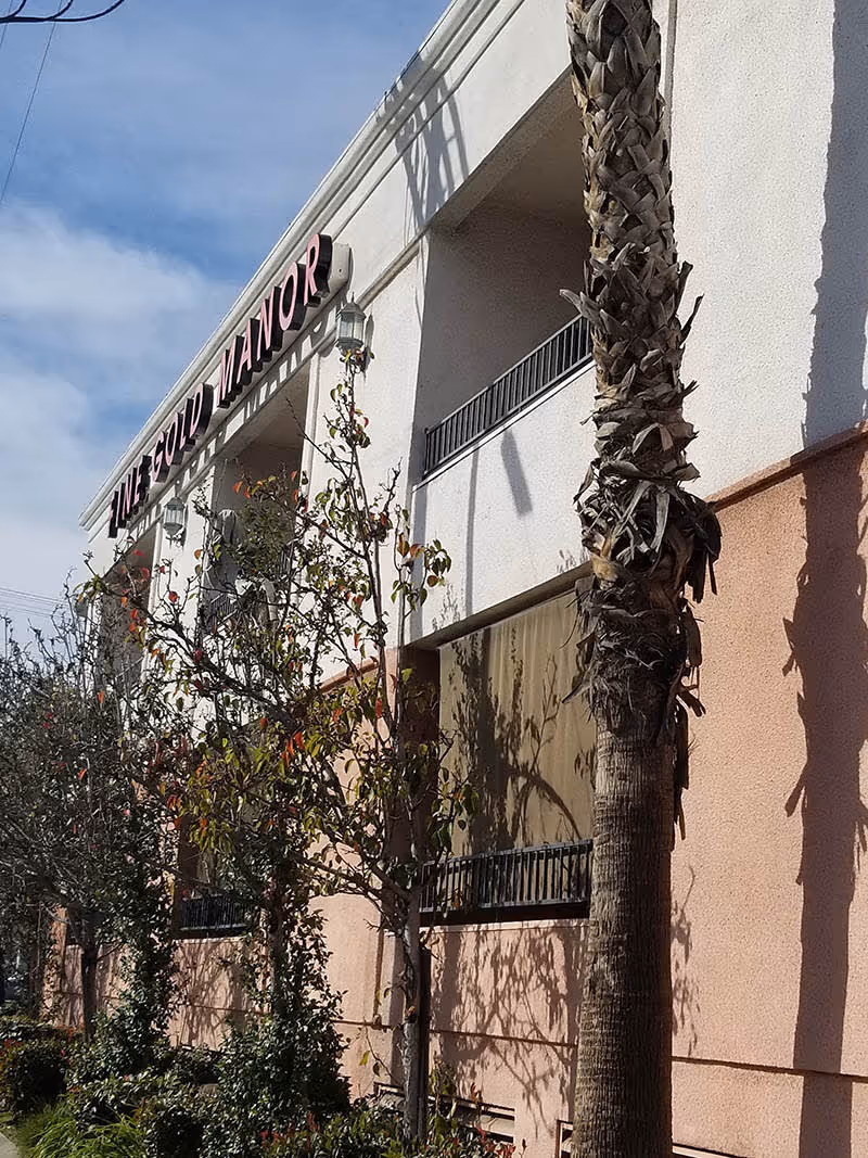 Exterior view of a two-story building with a sign that reads 'FINE GOLD MANOR' near the roofline. The building has a light pink and white facade with balconies and is surrounded by trees and shrubs. A tall palm tree is visible in the foreground.