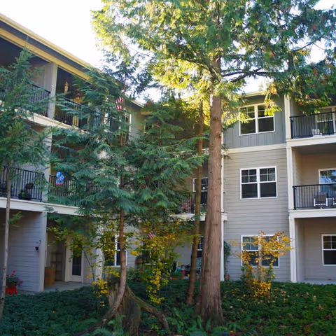 Exterior courtyard of a three-story senior living building with balconies and tall trees.