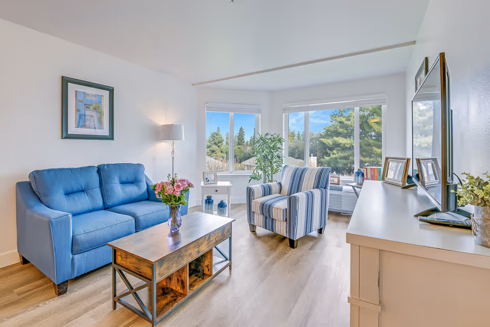 A bright living room with a blue sofa, a striped armchair, a wooden coffee table, a TV console, and large windows showing trees.