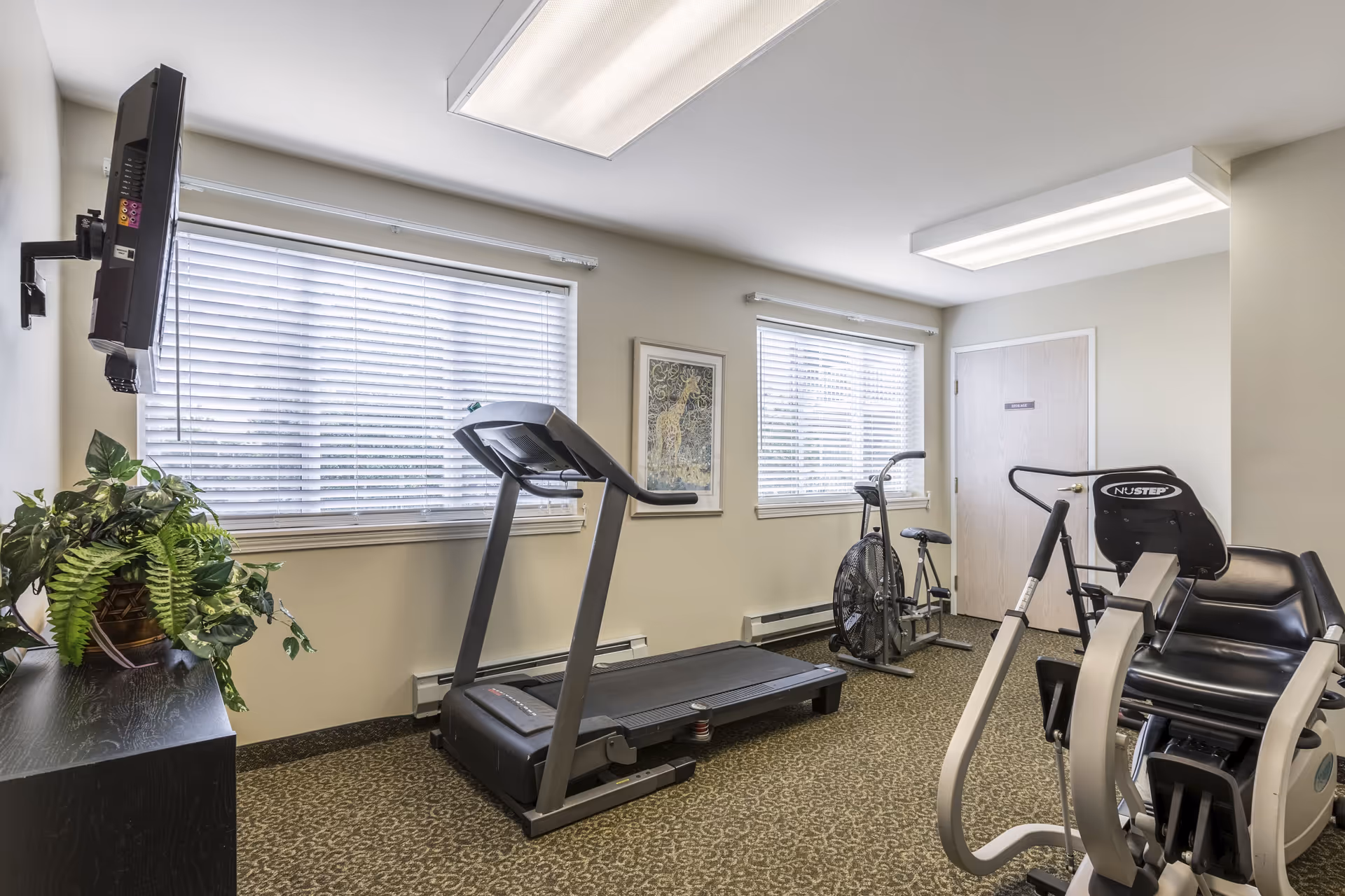 A small exercise room with a treadmill, stationary bike, and a NuStep recumbent cross trainer. The room has two large windows with white blinds, a wall-mounted TV, a framed picture of a giraffe, and a potted plant on a black cabinet.