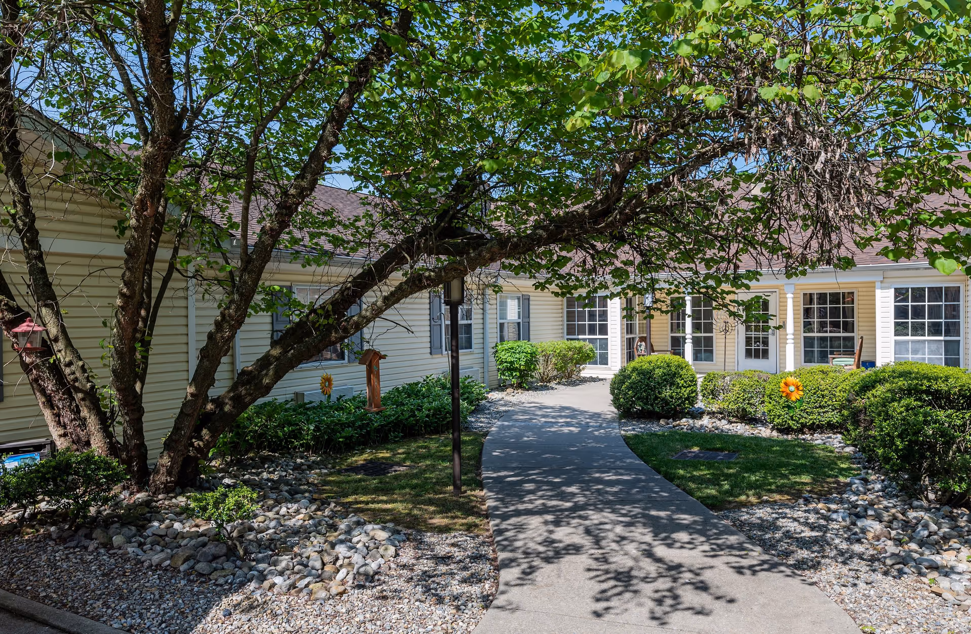 A curved concrete walkway leads through a landscaped garden area with bushes, small plants, and a large tree with green leaves providing shade. The walkway approaches the entrance of a single-story building with beige siding, white trim, and multiple windows. The scene is bright and sunny with clear blue skies.