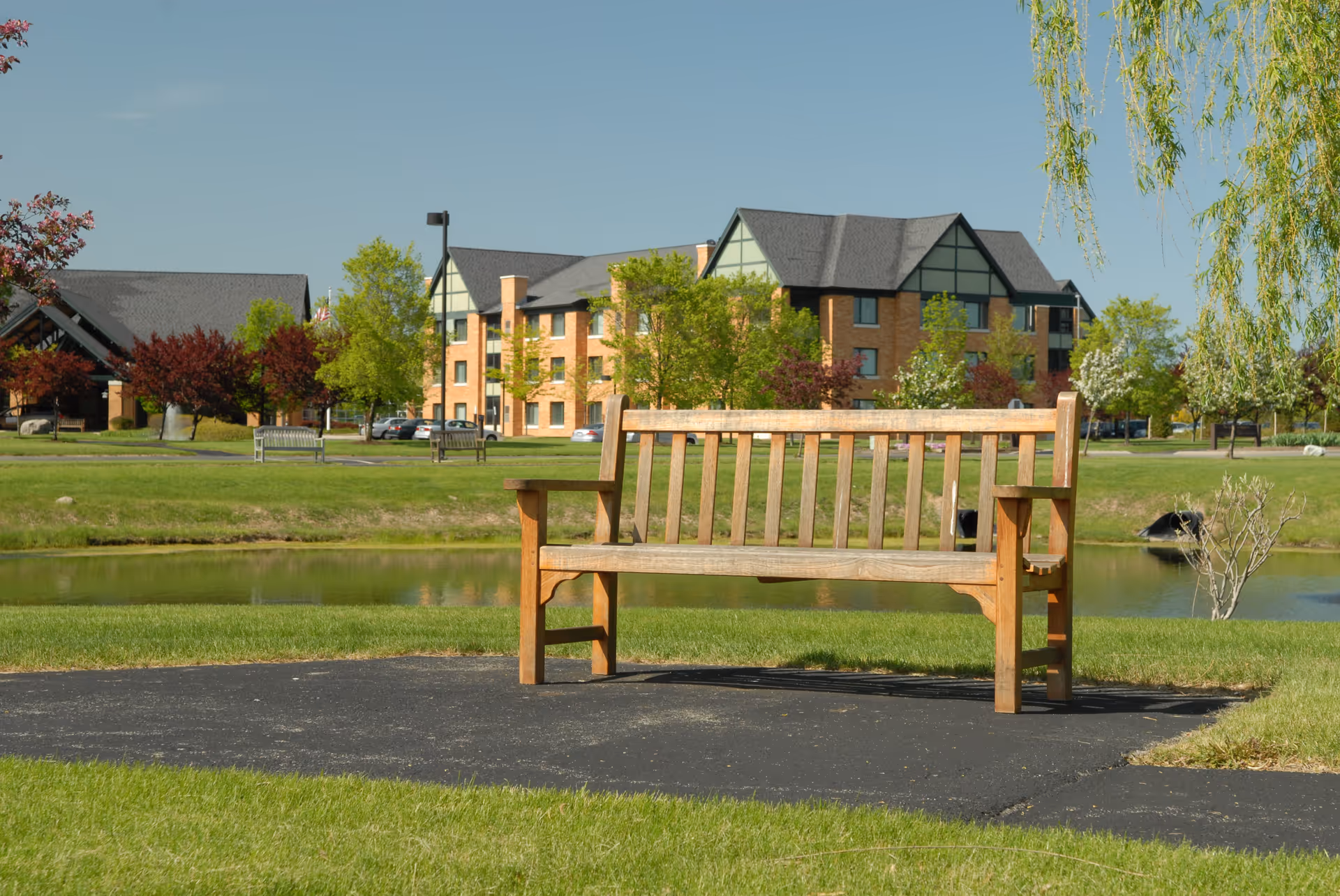 A wooden bench on a paved path in a grassy area near a small pond with a multi-story brick building and trees in the background under a clear blue sky.