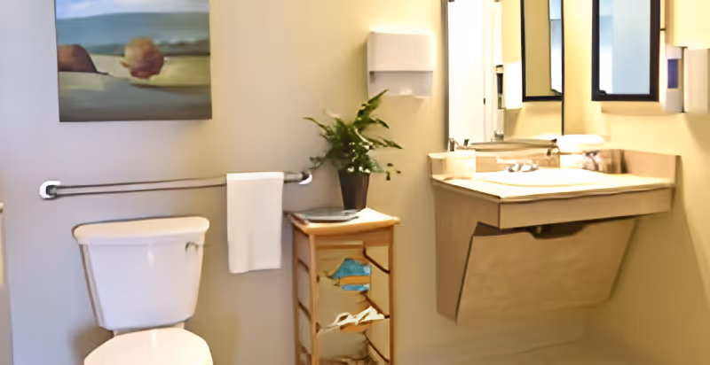 Accessible bathroom with a toilet, grab bar, towel, wall-mounted sink and mirror, and a small storage shelf with a plant.