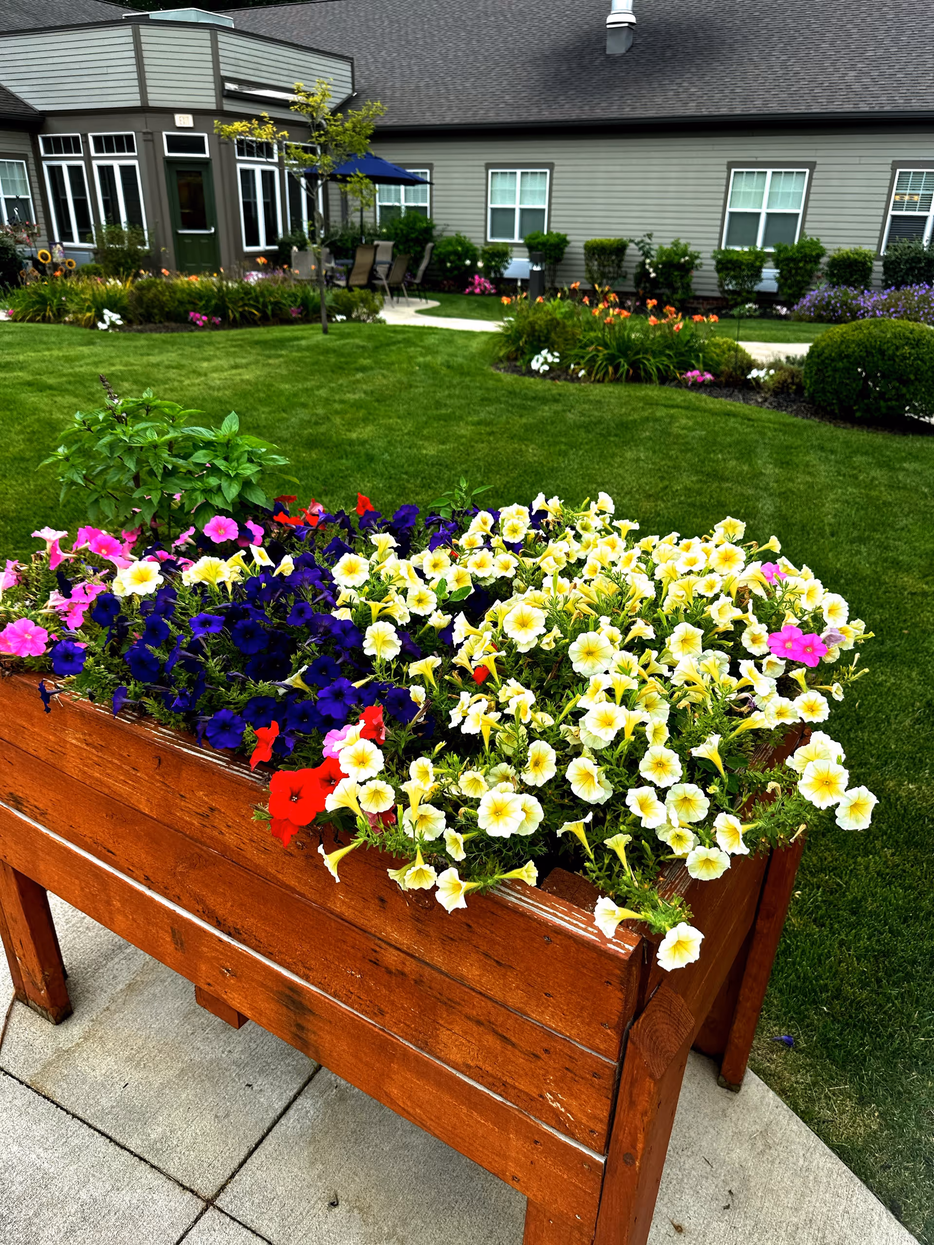 A wooden planter box filled with colorful flowers including yellow, purple, red, and pink blooms, set on a concrete patio. In the background, there is a well-maintained lawn with various flower beds, shrubs, and a building with gray siding and multiple windows. There is also an outdoor seating area with a table and chairs under a blue umbrella.