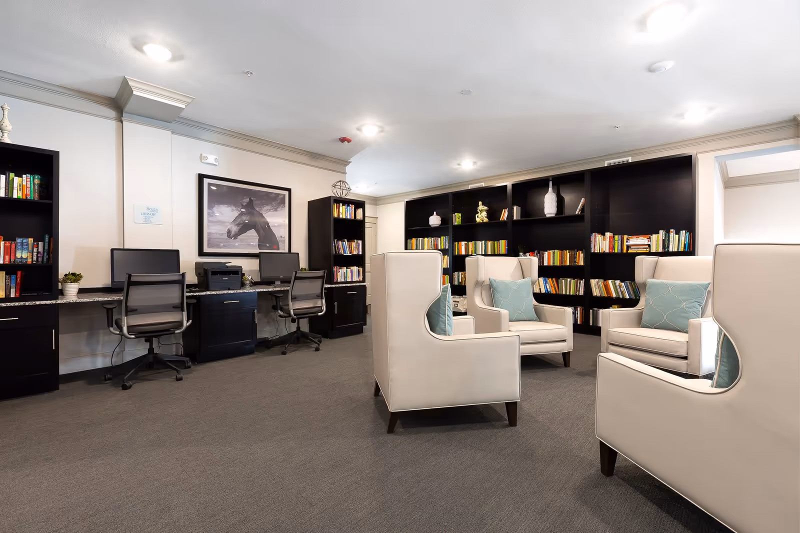A bright communal library-style lounge with bookshelves, armchairs with pillows, and computer workstations.
