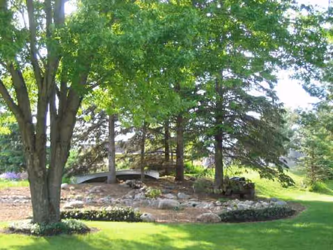 Lush outdoor garden with a circular stone bed and a small arched footbridge.