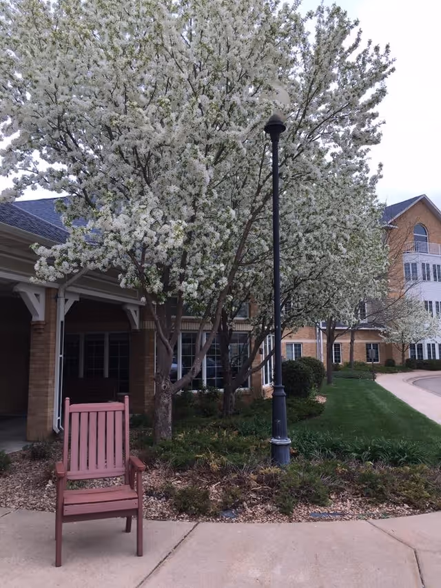 Outdoor view of a senior living facility with a blooming tree with white flowers, a red wooden chair on a paved walkway, a black lamppost, and a brick building with windows in the background.