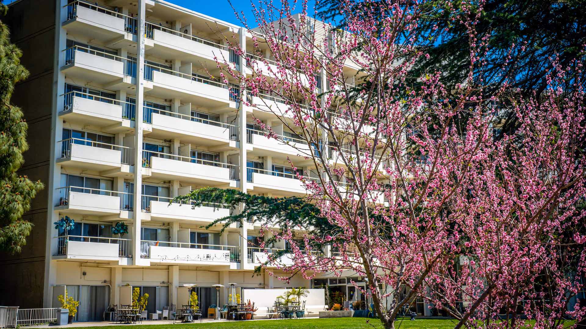 Exterior view of a multi-story residential building with balconies, partially obscured by blooming pink flowering trees in the foreground under a clear blue sky.