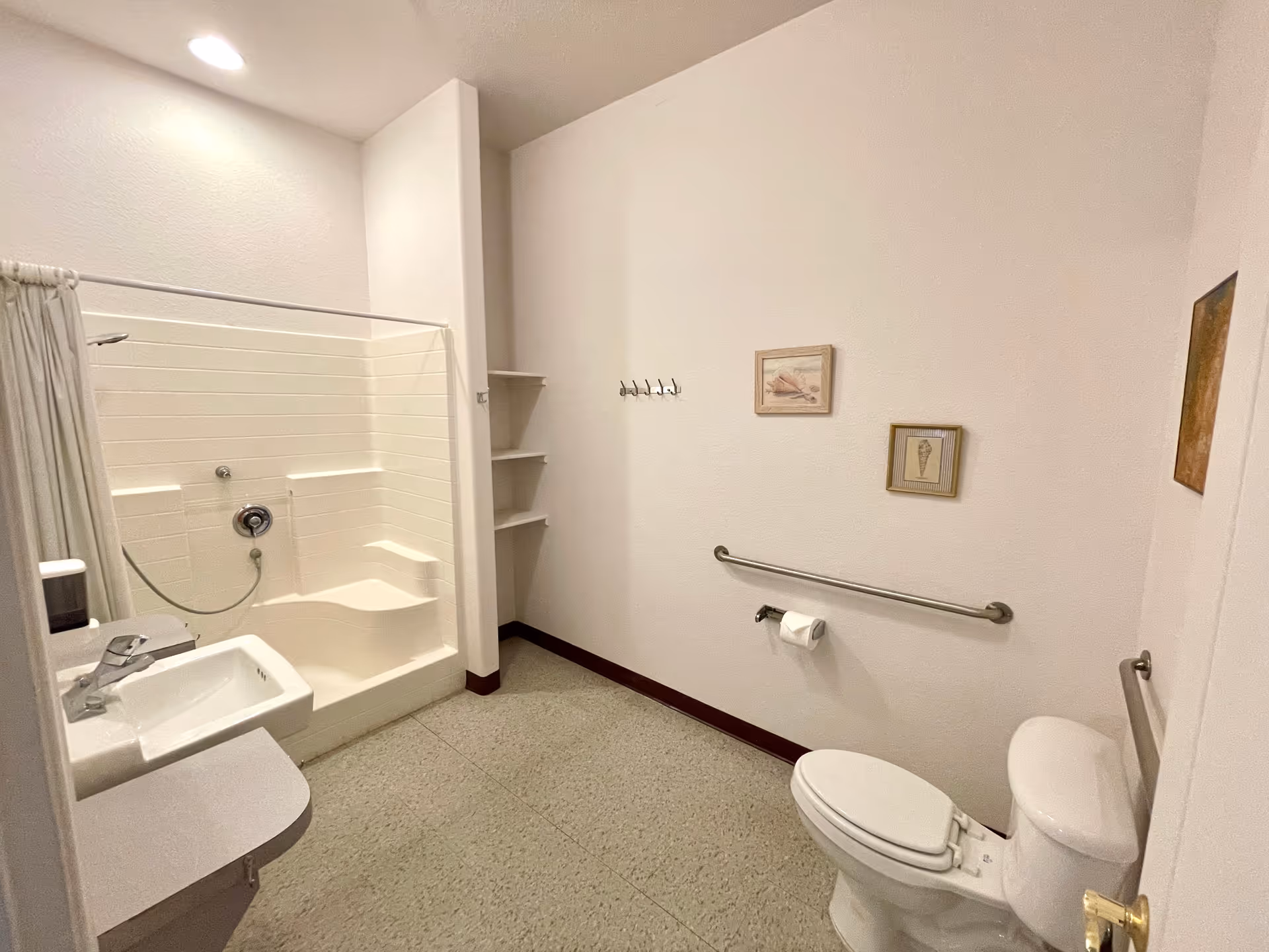 Accessible bathroom with a built-in shower, sink, toilet, grab bars, and shelves.
