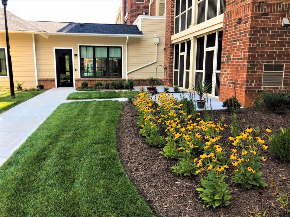 Outdoor garden area at The Woodlands at Furman featuring a well-maintained lawn, a flower bed with yellow flowers, a concrete walkway, and the exterior walls of the facility with windows and doors.