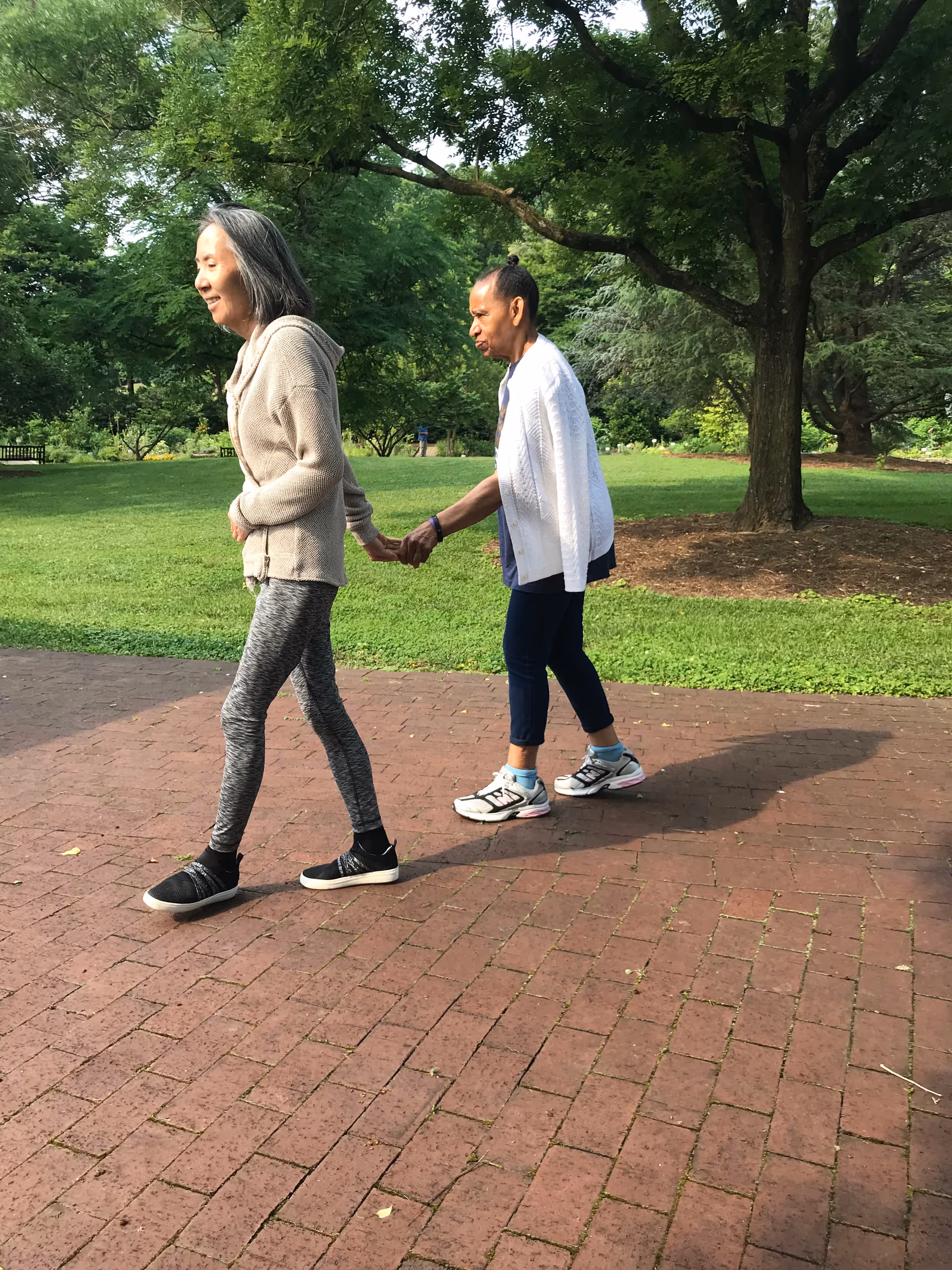 Two elderly women walking hand in hand on a brick pathway in a green park with trees and grass around them.