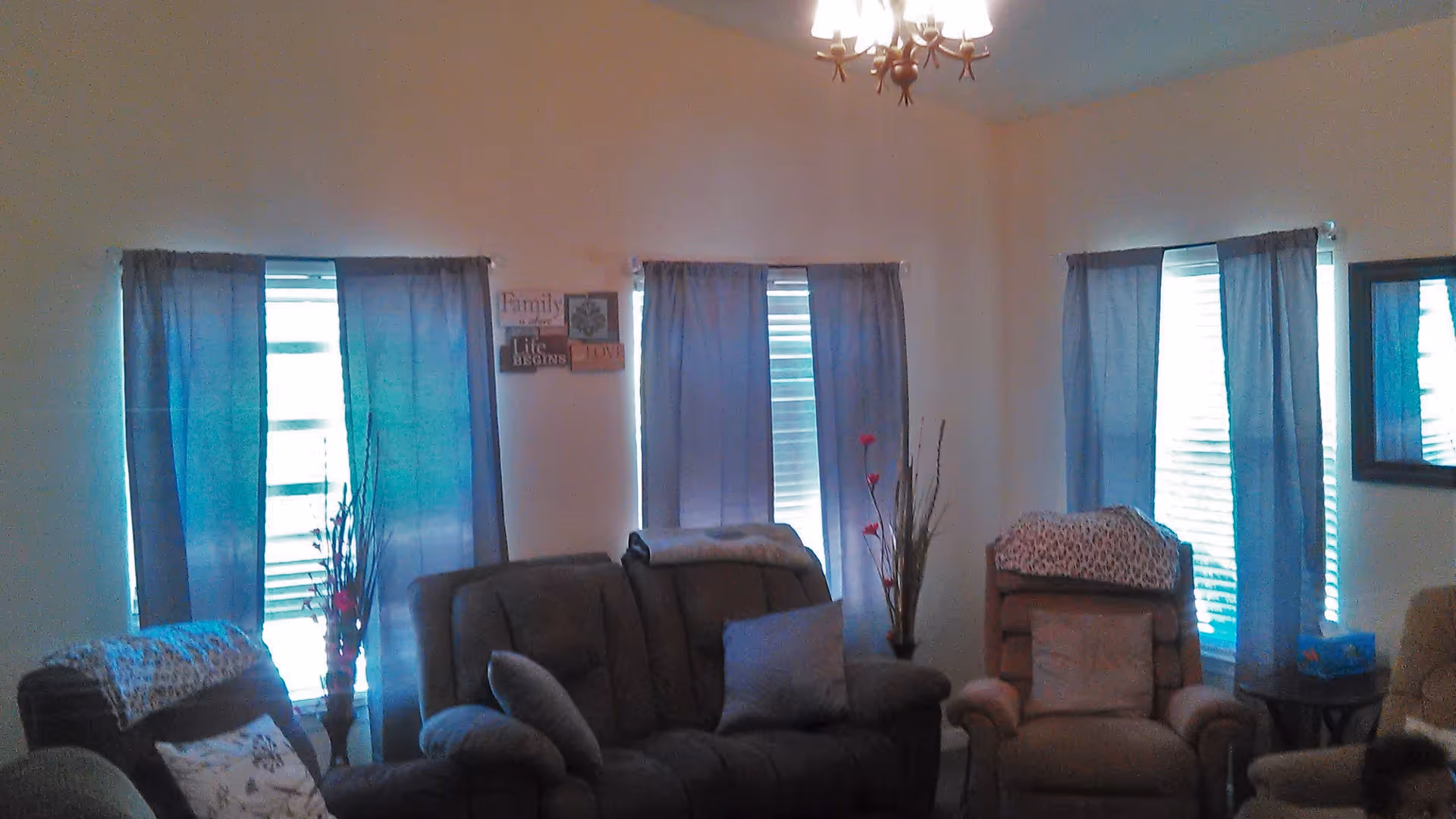 A cozy living room with three windows covered by blue curtains. The room features a brown sofa with cushions, two armchairs with patterned covers on the headrests, a small side table with a box of tissues, and decorative plants placed near the windows. A chandelier hangs from the ceiling, and a framed mirror is on the wall to the right.