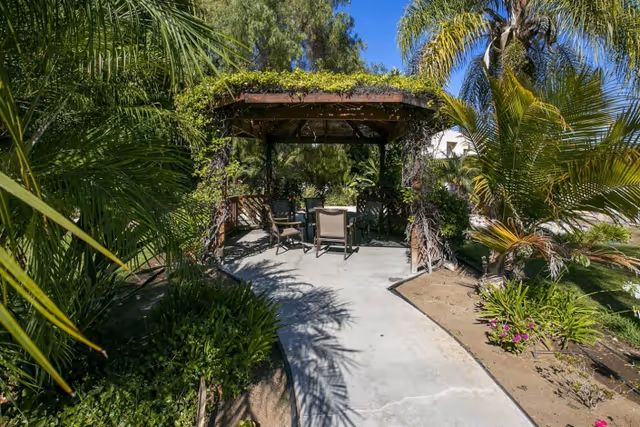 A shaded wooden gazebo covered with green vines and surrounded by lush tropical plants and palm trees. There are several chairs arranged under the gazebo on a concrete pathway in a garden setting under a clear blue sky.