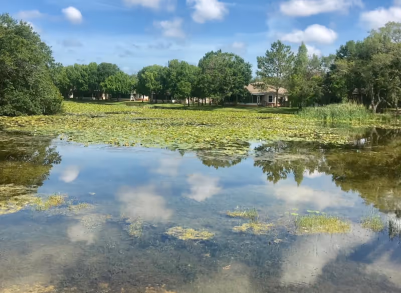 A serene pond with lily pads and clear water reflecting the blue sky and clouds, surrounded by green trees and a few buildings in the background under a partly cloudy sky.