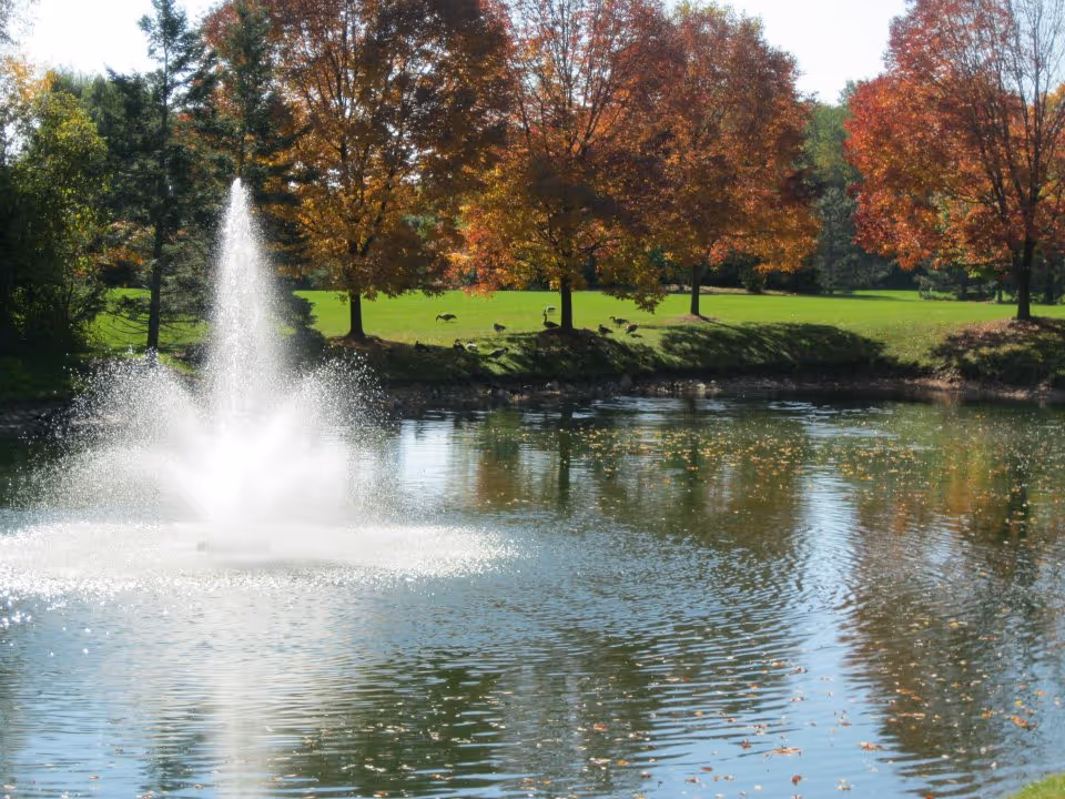 A pond with a water fountain spraying water upwards, surrounded by green grass and trees with autumn-colored leaves in shades of orange and red. Several birds are visible near the water's edge.