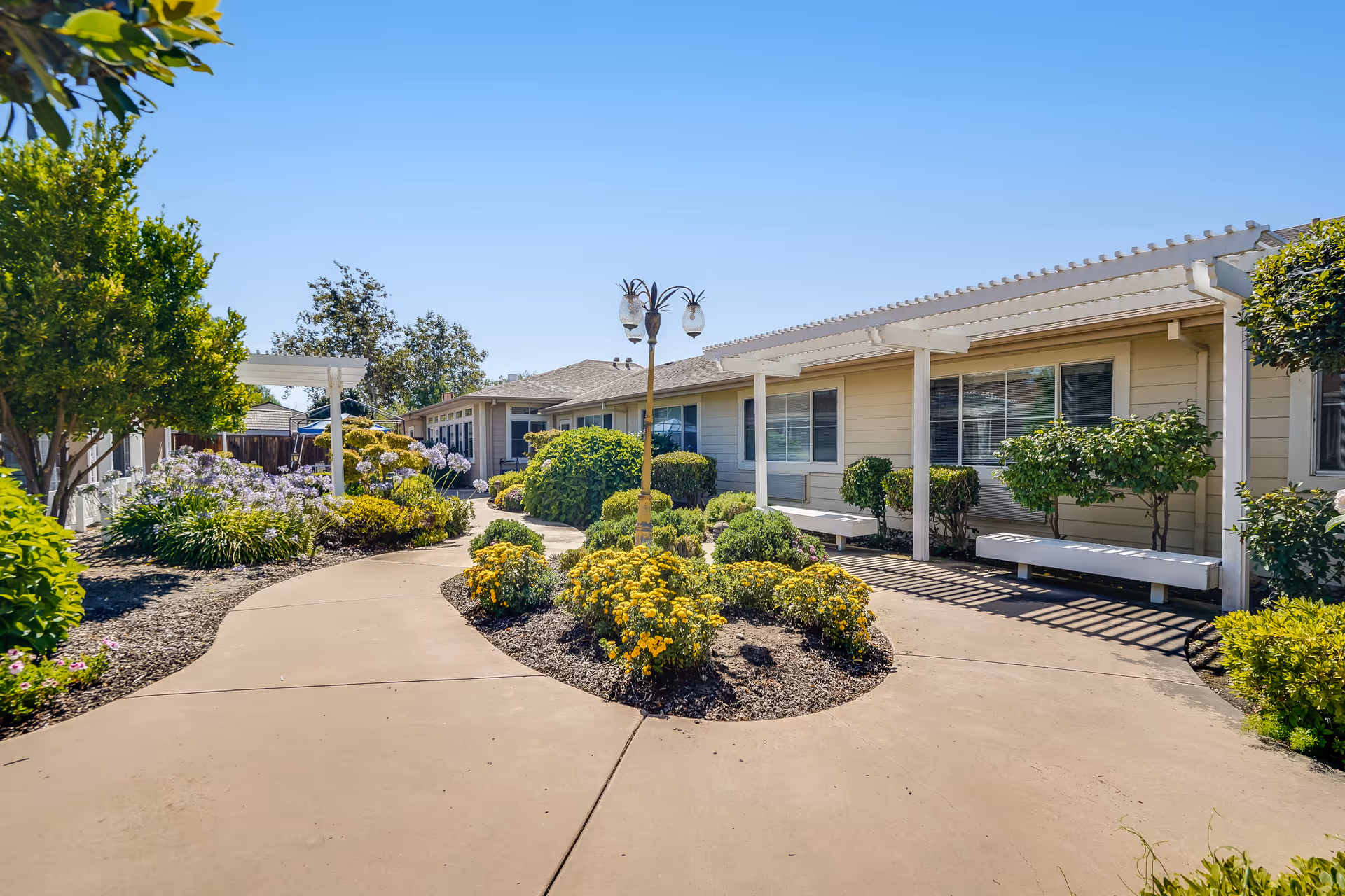 Sunny landscaped courtyard and walkway in front of a single-story senior living building with benches and shrubs.